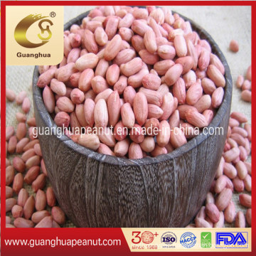 High Quality Shandong Long Peanut Kernels